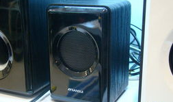 山水t91音响一体机直播,直播新宠，音质盛宴